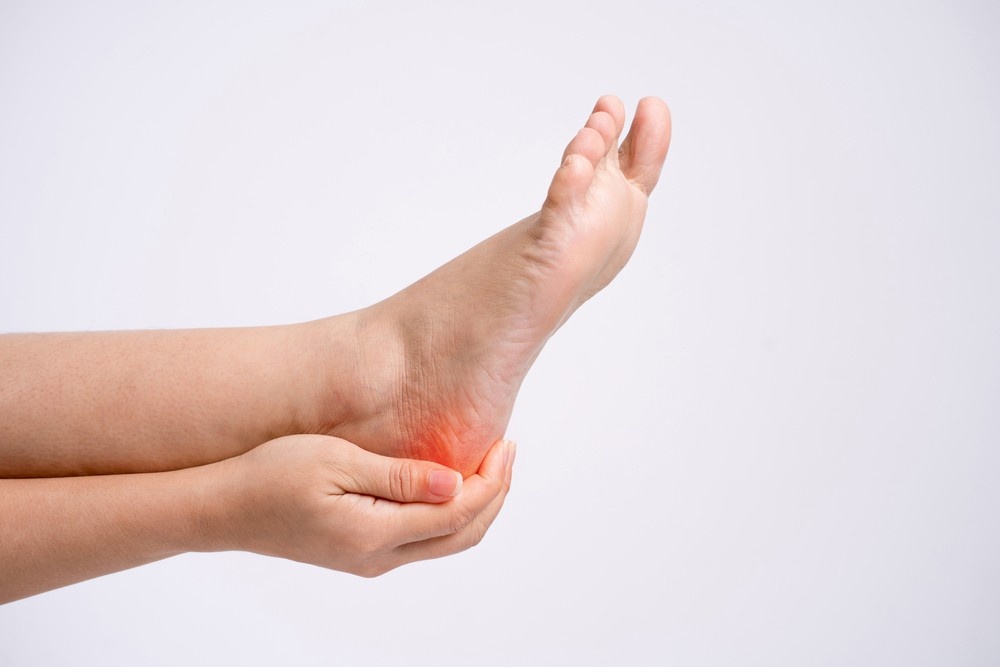 An anatomical human foot model being pointed at and demonstrated for a local heel pain doctor cypress consultation.